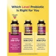 thumbnail image 4 of Ultimate Flora Probiotic Supplement | 60 Vegan Capsules | 25 Billion CFU | by Renew Life, 4 of 8