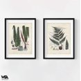 thumbnail image 4 of Collected Ferns V and VI, Set of 2 Vintage Rustic Fern Branch Poster, Last Minute Gift Idea, Extra Large Lobby Decor, Fern Bathroom Wall Art, 4 of 9