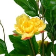 thumbnail image 6 of Northlight Artificial Peony Flower Potted Tree - 63" - Yellow, 6 of 8