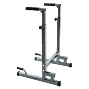 BalanceFrom Multi-Function Dip Stand, Steel, 500-Pound Capacity, Gray, Exercise Power Stand
