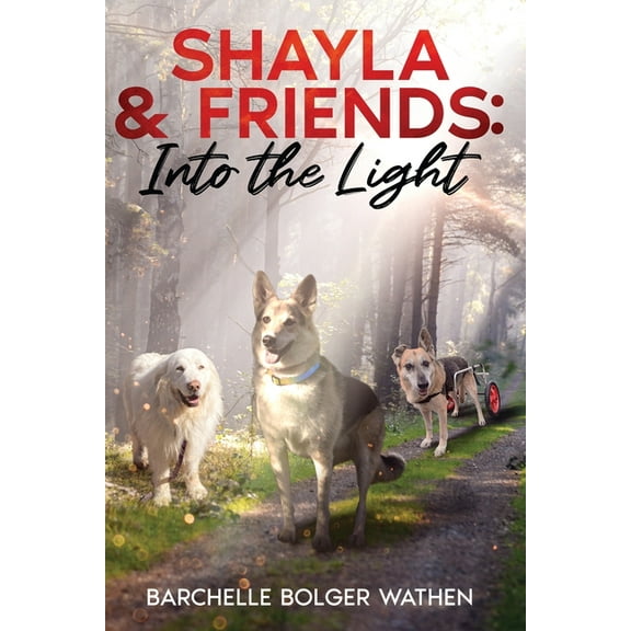 Shayla & Friends: Into the Light, (Paperback)