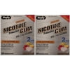 Nicotine Gum 2mg Sugar Free Coated Fruit Generic for Nicorette 100 CT