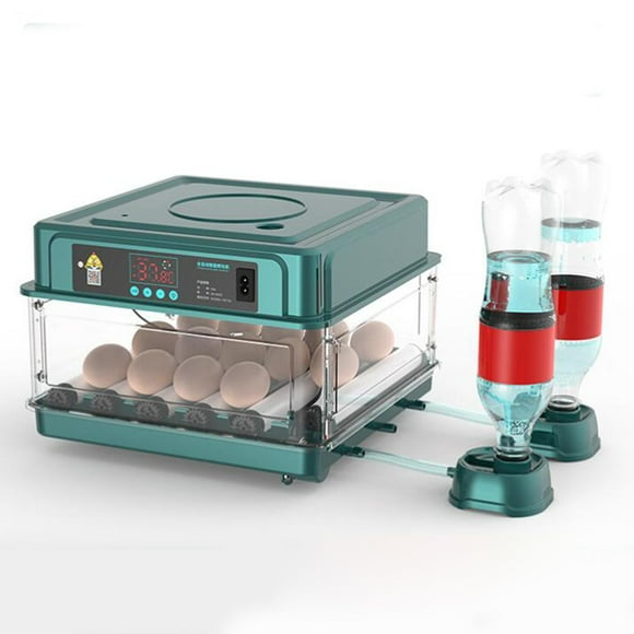 Hatching Eggs Machine