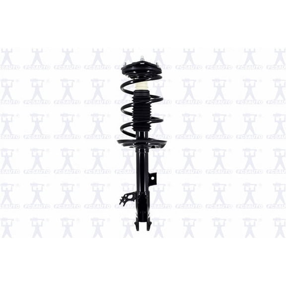Suspension Strut and Coil Spring Assembly