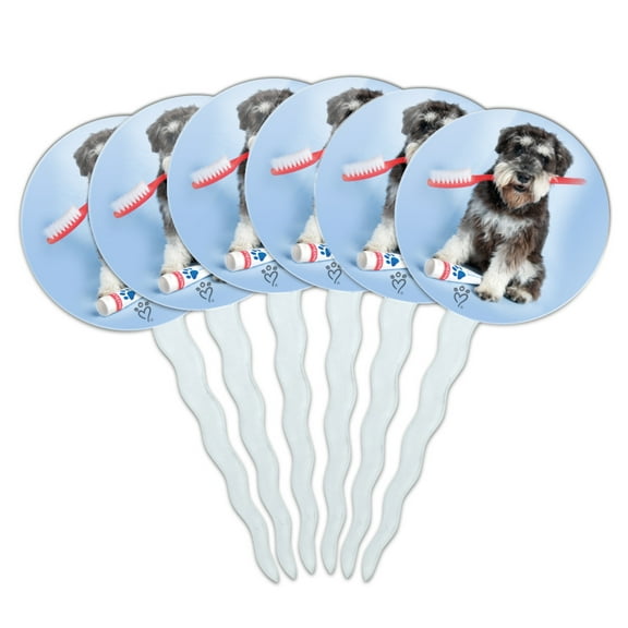 Schnauzer Puppy Dog with Toothbrush Dentist Cupcake Picks Toppers Decoration Set of 6