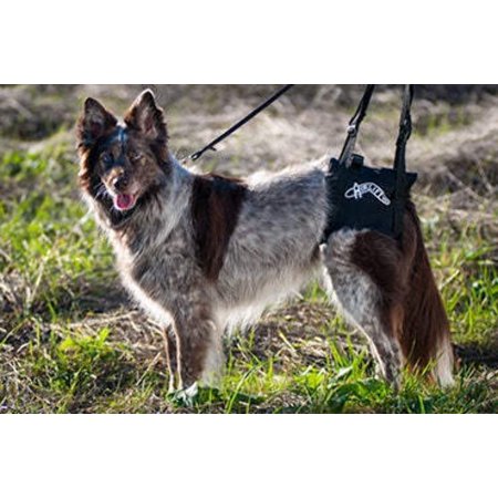 UPC: 0758890703388 | Airlift One Support Harness