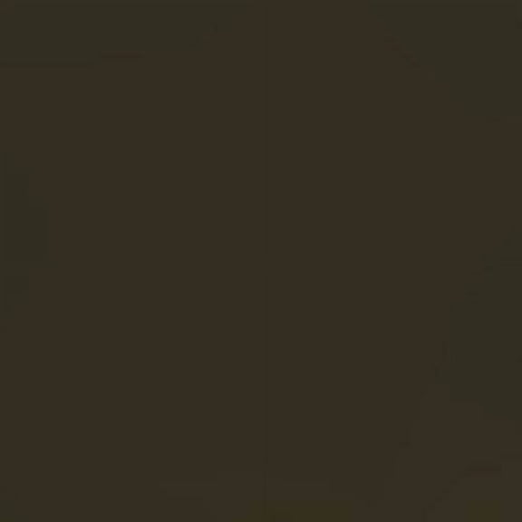 Tru Color Paint SP Olive Green 1oz