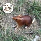 thumbnail image 4 of Animales salvajes 8 unids / set de juguete de plástico con modelo de Animal de silvestre para niños, paquete de , regalos de cumpleaños para Magideal Animales salvajes, 4 of 7