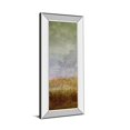 thumbnail image 1 of Classy Art 1791MF 18 x 42 in. Champ Luxuriant II par John Butler Miroir Encadré Impression Murale Art, 1 of 1