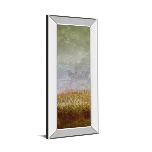 Classy Art 1791MF 18 x 42 in. Champ Luxuriant II par John Butler Miroir Encadré Impression Murale Art