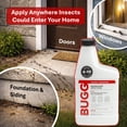 thumbnail image 4 of BUGGSLAYER Insecticide - Concentrate - Outdoor Box Elder Bugs, Stink Bugs, Asian Lady Beetles - 16 oz Bottle, 4 of 6