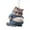 Style E, variant on Fat Puppy Keychain 2D Flat Acrylic Cartoon Dog Ornament Car Mirror Backpacks Hanging Pendant For Home Decor