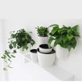 thumbnail image 1 of 2 Piezas De Plástico Con Riego Automático, Maceta Colgante, Macetas, Maceta, Soporte Para Plantas Con Gancho, Decoración, Decoración De Jardín DYNWAVEMX Macetas colgantes con autorriego, 1 of 8