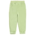 thumbnail image 6 of Disney Winnie the Pooh Toddler Boys' Velour 2-Piece Sweatshirt and Pants Set Sage, 6 of 6