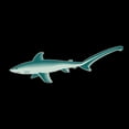 thumbnail image 3 of CafePress - Thresher Shark - Women's Short Sleeve Print T-Shirt and Pants Dark Cotton Pajama Set, 3 of 7