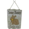 Some Bunny Loves You Wooden Sign