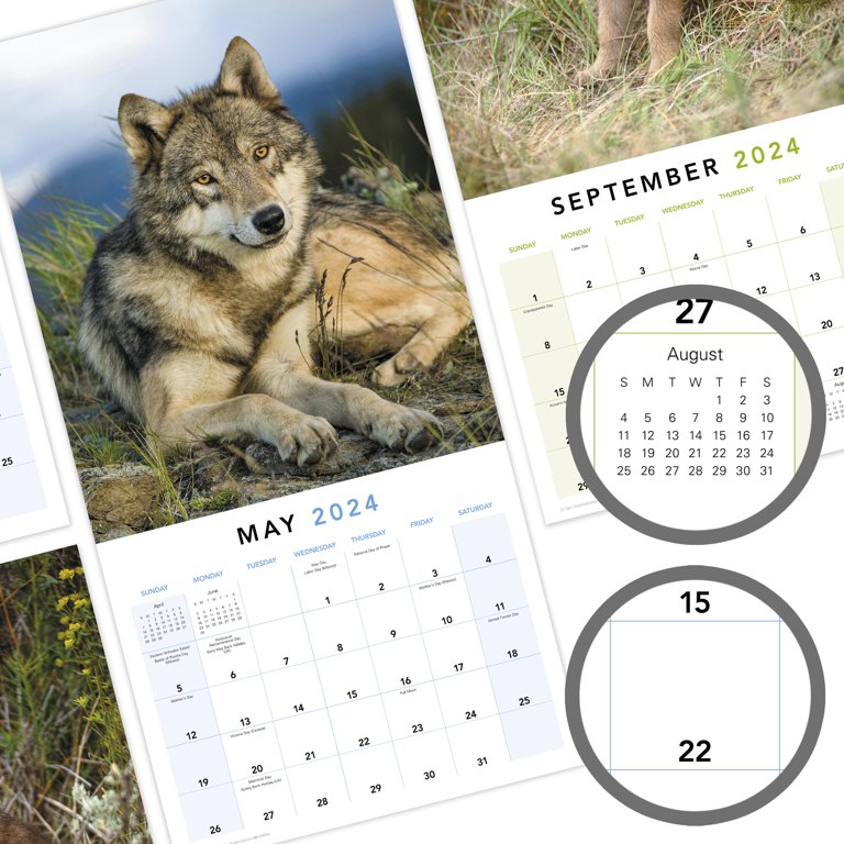 wolves-2024-monthly-wall-calendar-12-x-12-wall-calendars-walmart-com