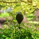 thumbnail image 5 of Canasta colgante de polea retráctil para trabajo , gancho para macetas de jardín, soporte para macetas de jardín, soporta hasta 15 kg / 33, 5 of 7