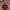 Purple, variant on FAMTKT Halloween Gnomes Decorations Bedroom Living Room Desktop Decoration Standing Post for Tiered Tray Decor Halloween Kitchen Table Party Decor Kids Gifts on Clearance