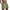 Army Green, variant on gakvbuo Summer Running Shorts for Women Sweat Shorts Casual Summer Athletic Shorts Elastic Comfy Shorts Wide Leg Loose Pants
