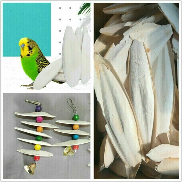 10-20 PCS Cuttlebone Set For Birds - Natural Calcium Source For Pet Birds & Reptiles