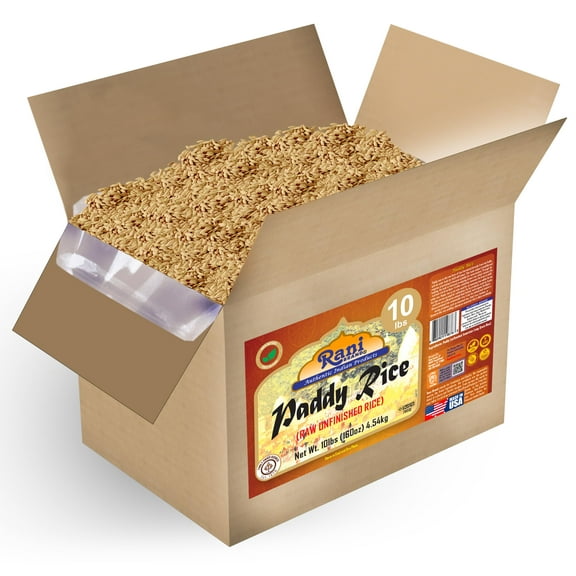 Rani Paddy Rice (Raw Unfinished Rice) 10lbs (160oz) 4.54kg Bulk Box ~ All Natural | Vegan | Gluten Friendly | NON-GMO | Kosher | Product of USA
