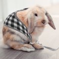 thumbnail image 4 of Miangastore 1 Set Rabbit Garment Bunny Harness Kit Rabbit Costume leash Rabbit Leash Clothes, 4 of 8