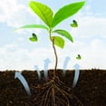 thumbnail image 4 of Christmas Gifts Clearance! Dezsed Rooting Powderof Plants For Cutting Common Transplanting Trees Nutrition Powder Of Fruit Trees on Clearance A, 4 of 6