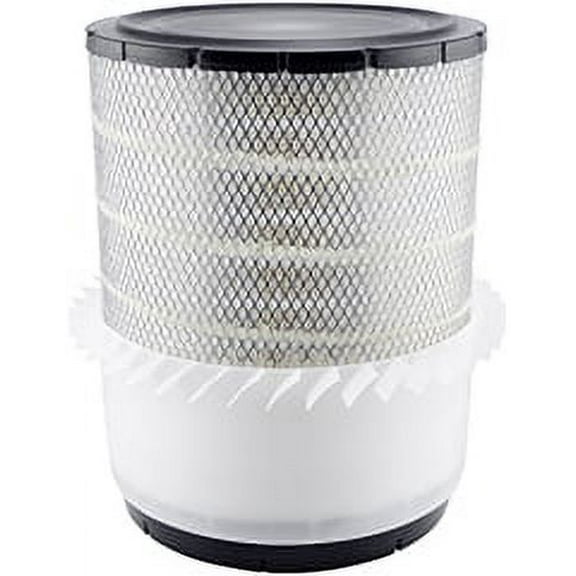 Air Filter Baldwin RS5389-FN