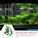 thumbnail image 5 of unbranded 7Ud Para Pecera De Plástico Resistentes Y Seguras, 5 of 5