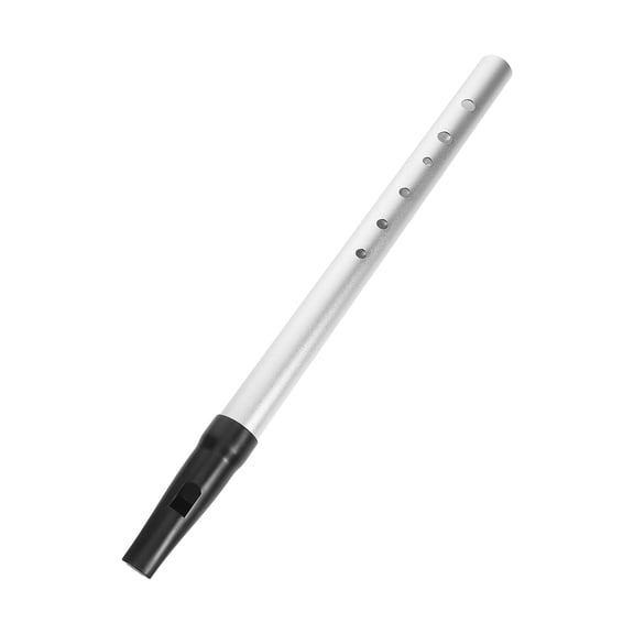 SWETRACE Metal Irish Whistle Flute Set - Portable Small Musical Instrument for Music Class and Practice