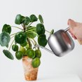 thumbnail image 2 of Arrosoir pour Plantes d'Intérieur Petit Arrosoir en Acier Inoxydable, 2 of 8
