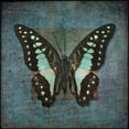 thumbnail image 2 of Frank, Assaf 20x20 White Modern Wood Framed Museum Art Print Titled - Colorful tropical Butterfly with vintage effects, 2 of 4