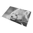 thumbnail image 3 of CADecor red panda Non-Slip Bath Rug Bath Mat Rug Doormat 30x18 inches, 3 of 3