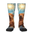 thumbnail image 2 of Lsque Sunshine Cloud Bulldog Printed Crew Socks Men's Women's LightWeight Thin Casual Calf Socks ,Knee High Socks,Cotton Socks, 2 of 9