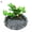 B, variant on Shulemin Aquarium Simulated Basin Turtle Lizard Climbing Pet Food Bowl Fish Tank Decor,E