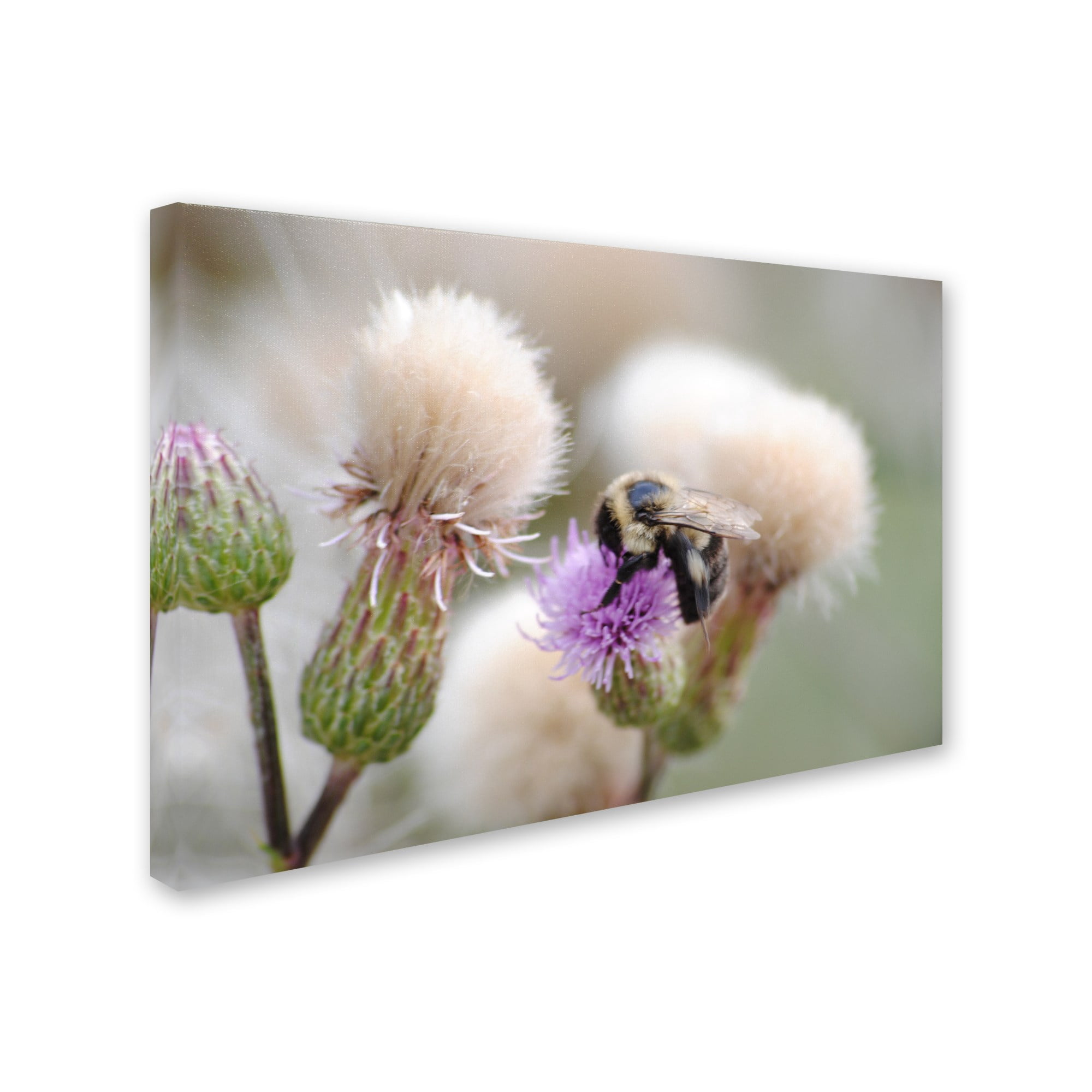 Trademark Fine Art "Defeated" Canvas Art by Monica Mize