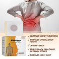 thumbnail image 3 of 30/60/90pcs Kidney Care Relieve Back Joint Muscle Pain Improve Sleep Health Care, 3 of 5