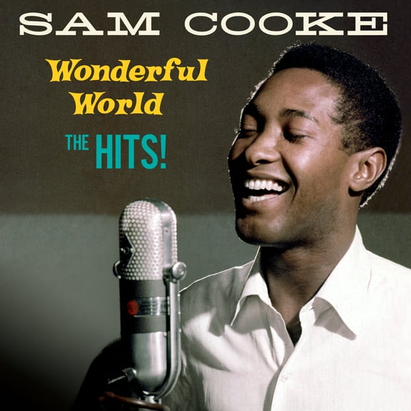 Sam Cooke Wonderful World: The Hits! (Vinyl Record) 12" Album (Clear vinyl)