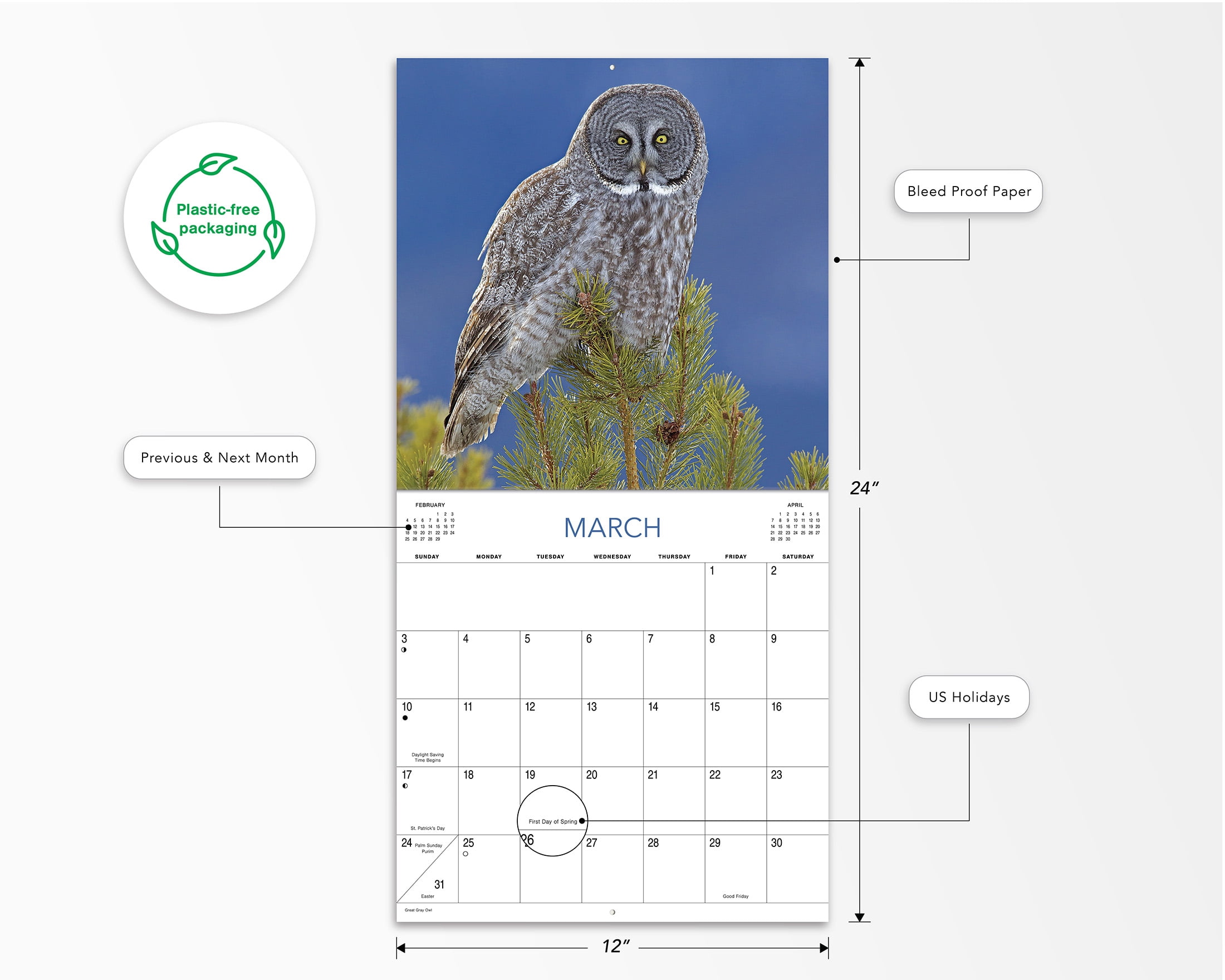 2024- 12 Month Calendar- Owl-12x12 by DaySpring