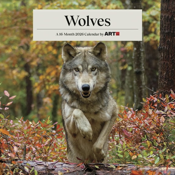 Trends International 2026 Wolves Wall Calendar