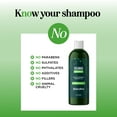 thumbnail image 6 of Volumizing Biotin Shampoo for Fine Hair with Rosemary Oil, Sulfate Free 8 fl oz, 6 of 8