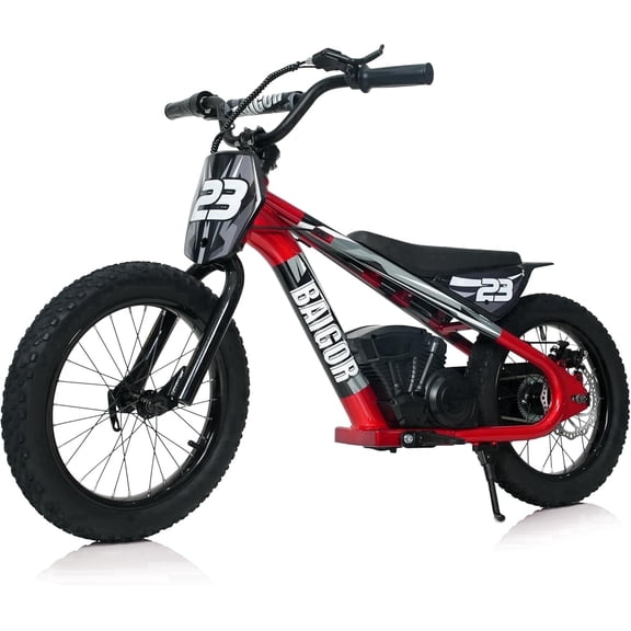 NEORIVER Electric Dirt Bike for Kids Ages 6-12, 250W Electric Motorcycle Up to 15.5MPH, 24V Detachable Battery, 16'' Inflatable Tire Electric Balance Bike with Kickstand