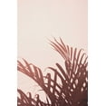 thumbnail image 2 of Artographie Studio 11x14 Black Ornate Wood Framed with Double Matting Museum Art Print Titled - Palm leaves 2, 2 of 4