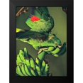 thumbnail image 2 of Fitzharris, Tim 19x24 Black Modern Framed Museum Art Print Titled - Yellow-naped Parrot, 2 of 5