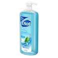 Dial Body Wash, Spring Water, 35 fl oz (Pack of 2)