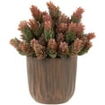thumbnail image 1 of Northlight Two-Tone Wild Flower Artificial Plant in a Textured Lined Pot - 8", 1 of 5