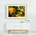 thumbnail image 6 of Birds of Paradise - Redondo Beach California Photography Abstract Modern Art Psychedelic Surrealism Nature Floral Unframed Wall Art Print 16 x 24 inches, 6 of 7