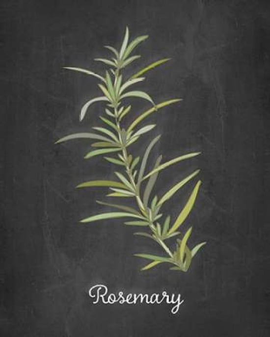 Rosemary Canvas Art