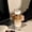 White, variant on CHUNTIAN Cute Korean Water Bottle Travel Tritan Cold Coffee Tea Milk Juice Cup Gym School Simple Drinking Bottle With Filter Scale 300ml